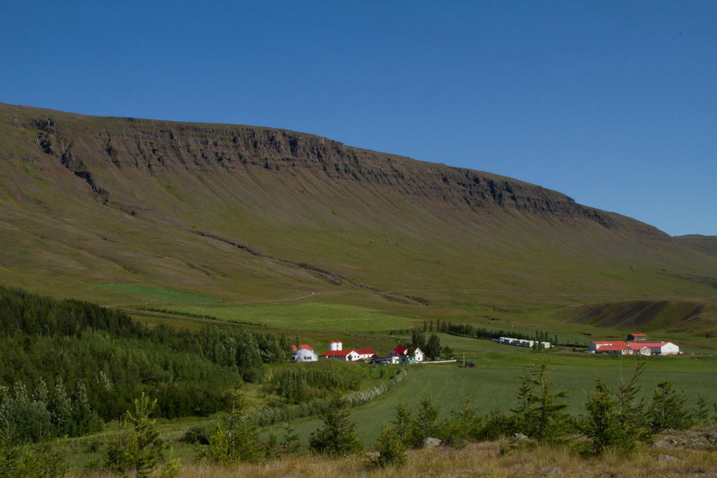 Guesthouse Hof In Vatnsdalur Hof i Vatnsdal Kültér fotó